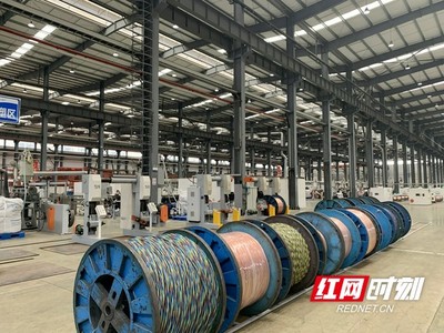 技術驅動產品競爭力提升 望城經開區(qū)企業(yè)用產品助力疫情防控